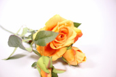 Роза 65см желто-оранжевая